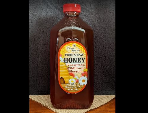 5 lb. Raw Pennsylvania Honey